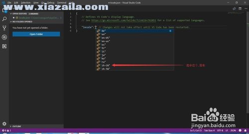 Visual Studio Code怎樣設(shè)置中文？